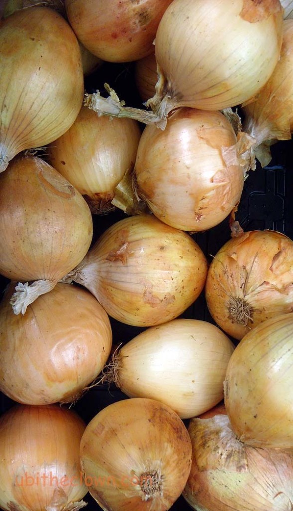 Locally-grown onions at the Farmers' Market at Art in the (Herman) Park, Goldsboro, NC. First Sundays, 2-5.