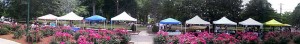 Vendor tents at Herman Park "Art in the Park" event (June), Goldsboro, NC.